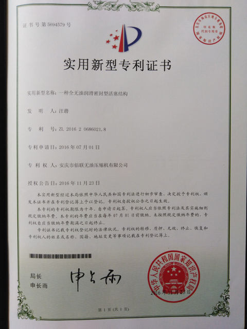 种 活塞 结构 (1)