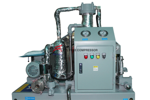 Compresseur de gaz de vapeur d'eau sans huile Oilless pour les dispositifs de fermeture Fabricant